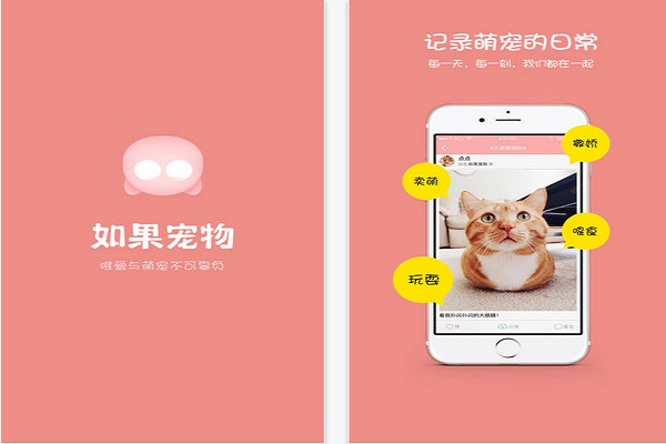 寵物APP開發(fā)