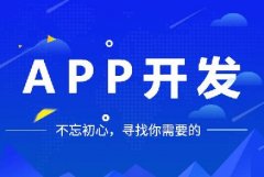 開發(fā)一個app多少錢？