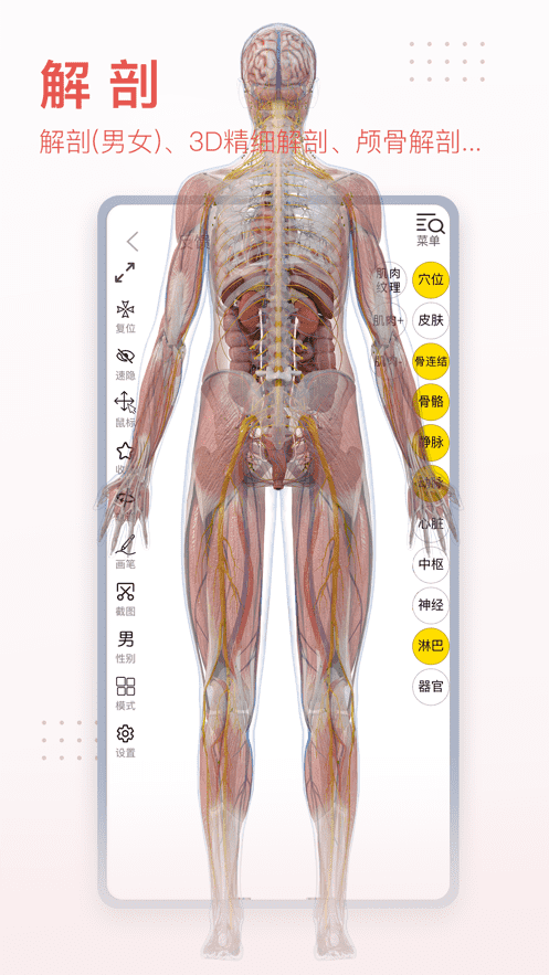 3Dbody解剖-APP