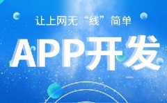 手機(jī)系統(tǒng)開發(fā)APP簡化指南