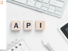 APP開發(fā)中API的分類