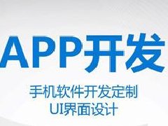 B2B手機APP開發(fā)教程