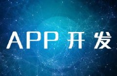 APP開發(fā)公司