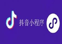 抖音小程序開發(fā)-概述|流程|注意事項